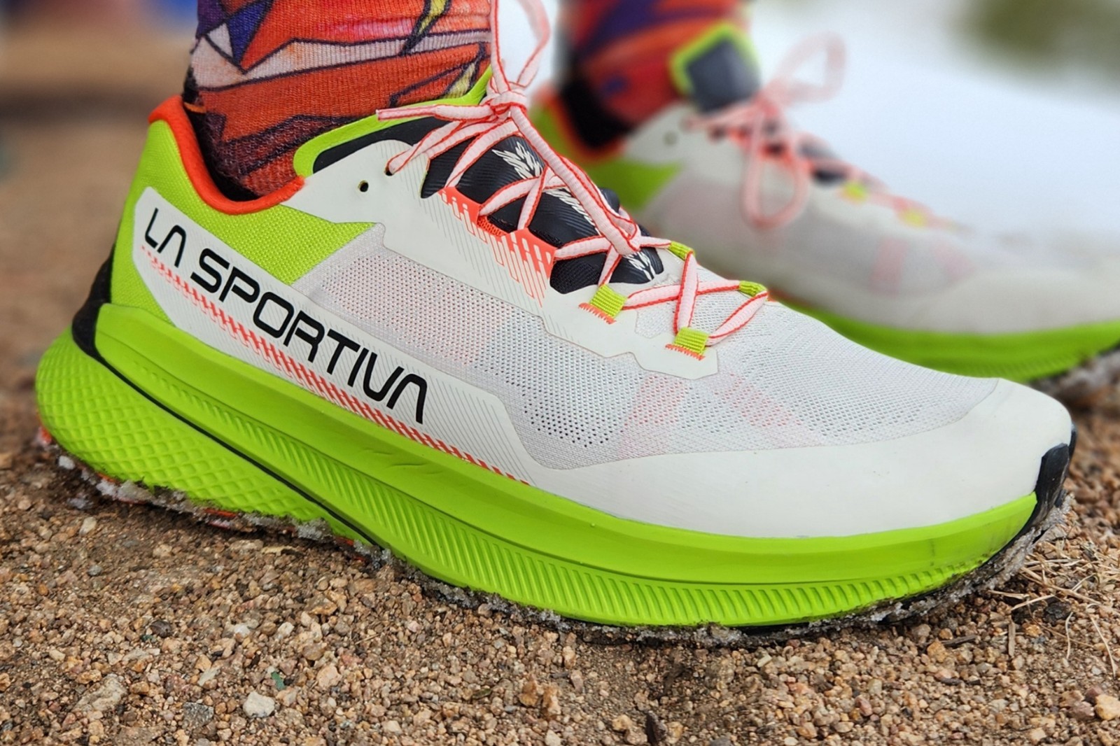 La Sportiva Prodigio Cover