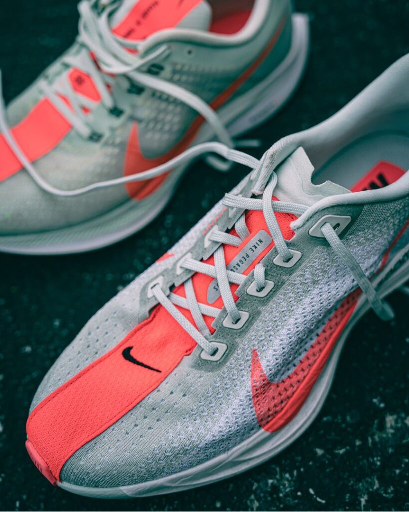 nike pegasus plus - both shoes tongue