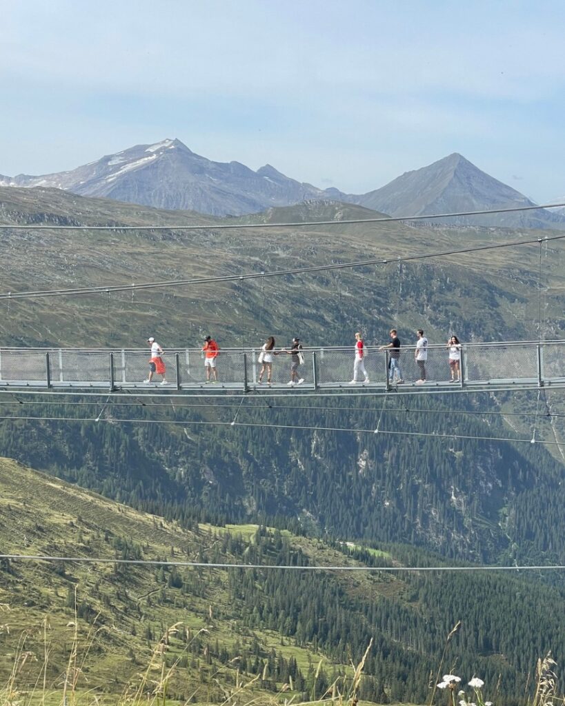 adidas infinite trails - bridge