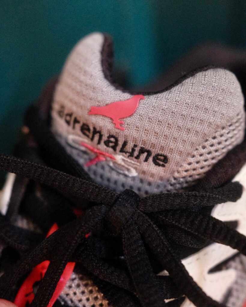 brooks adrenaline 4 GTS x staple - tongue vertical
