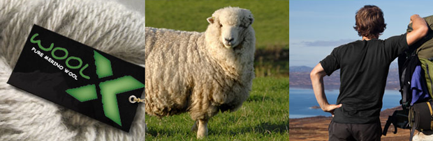 WoolX