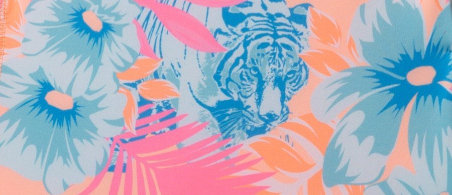 Chubbie's tiger poses pattern