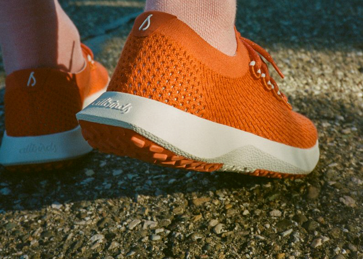 allbirds dasher 2 cover 2