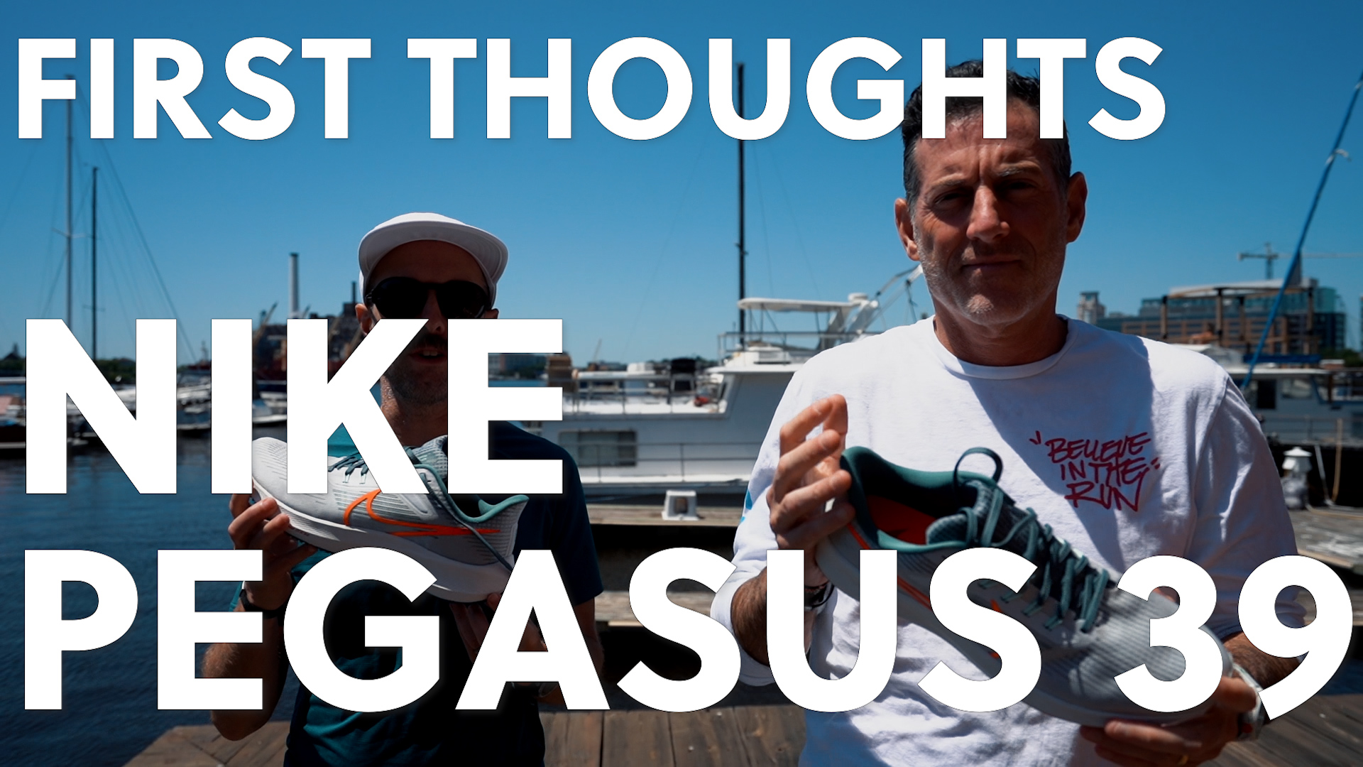 Nike Pegasus 39 Thumbnail