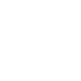 YouTube Icon