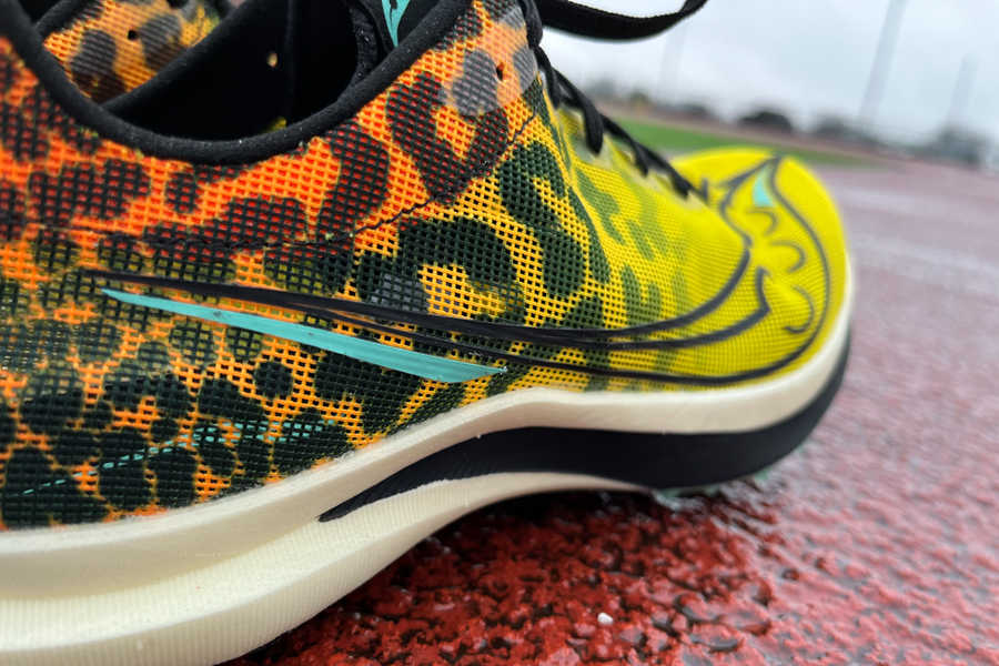 saucony endorphin cheetah mesh