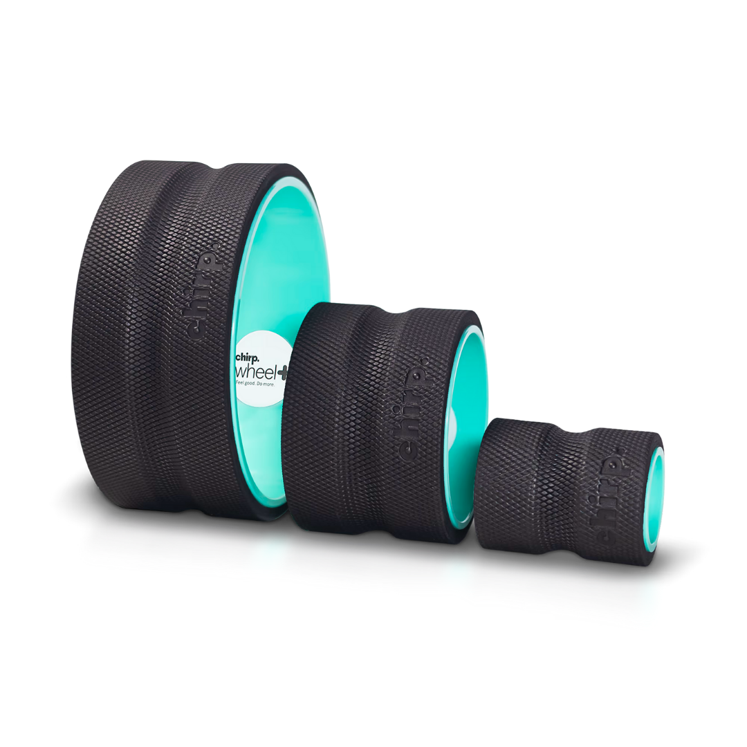 chirp wheel - shop