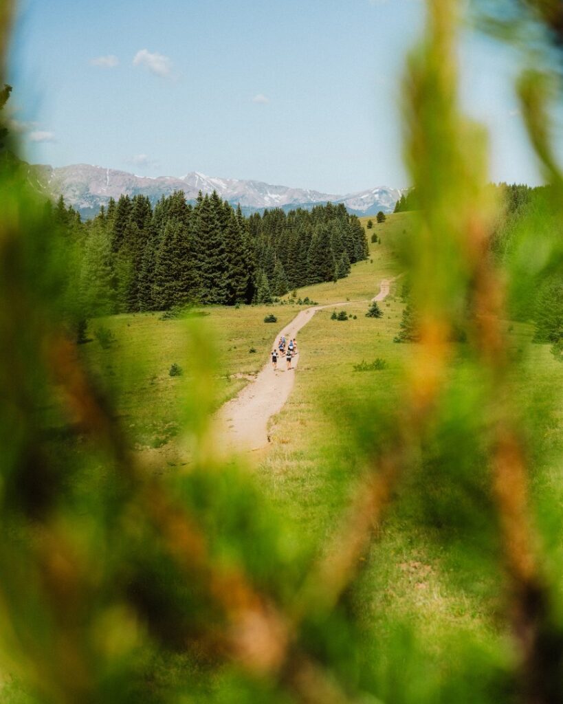 Verdant valleys of green