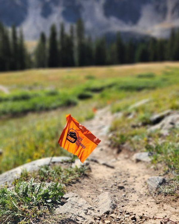 trail marker on path