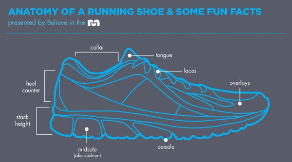 Anatomy of a Running Shoe - Believe In The Run
