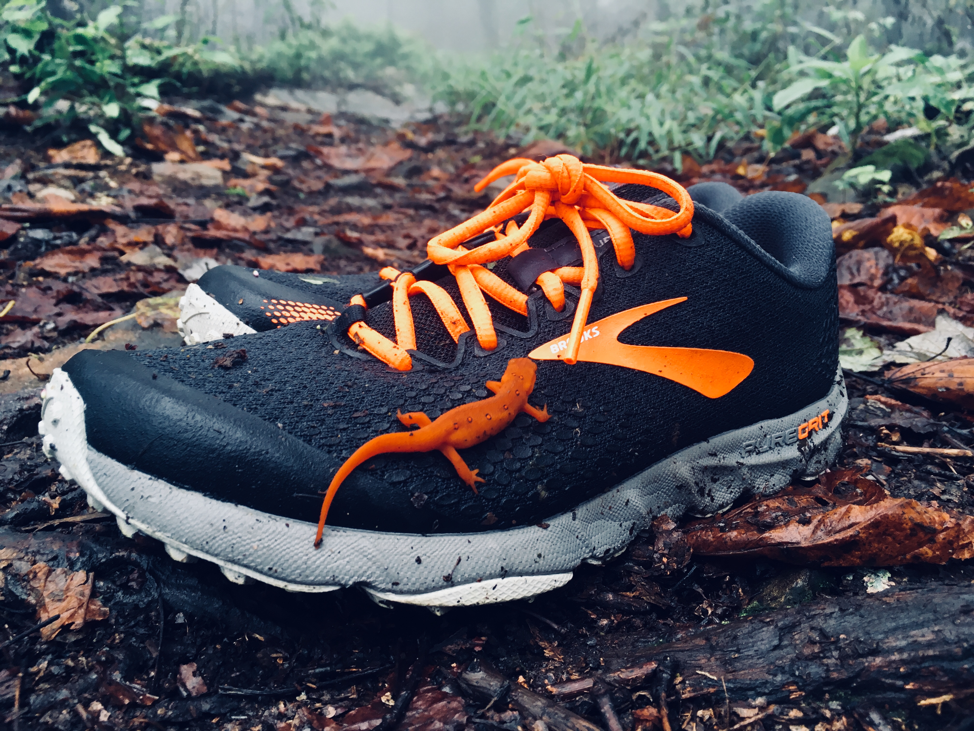 Brooks PureGrit 7 Performance Review 