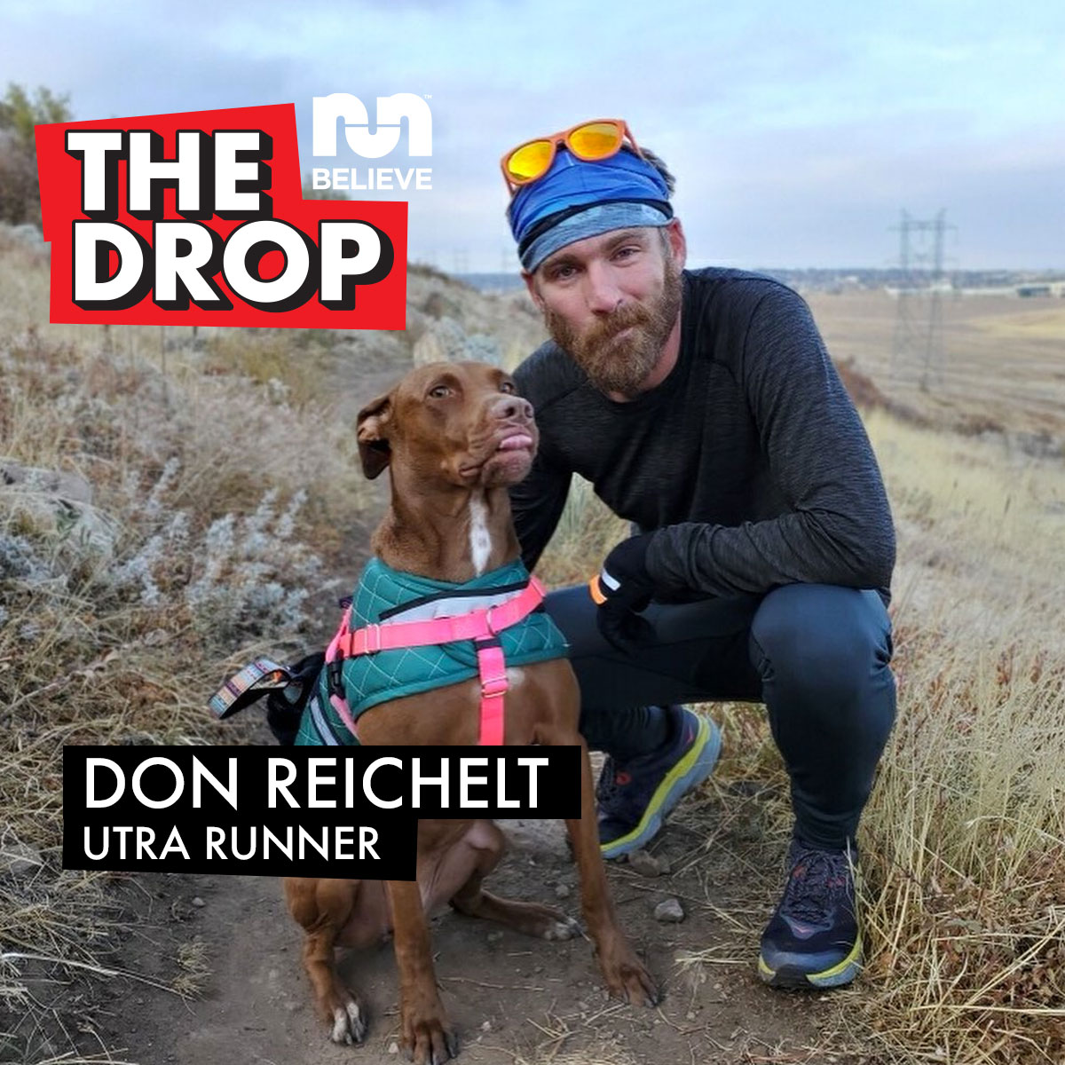 drop-episode-15-Don-Reichelt