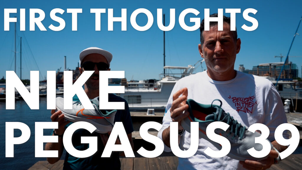 Nike Pegasus 39 Thumbnail