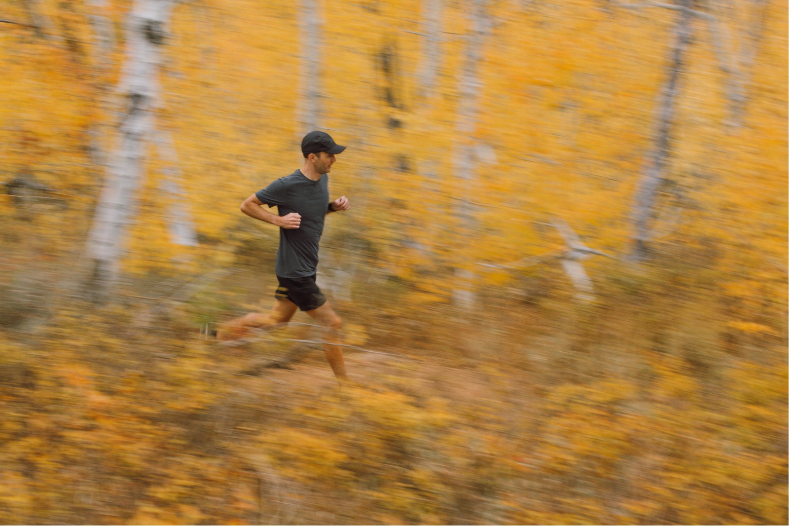 man running through yellow aspen trees