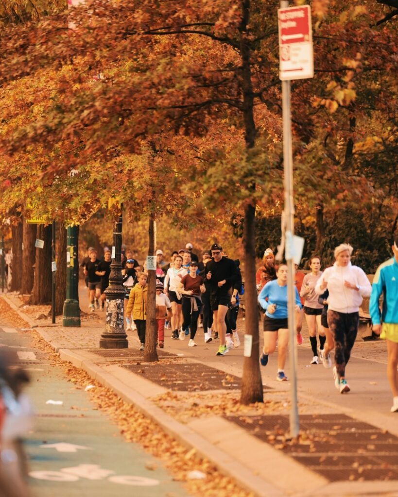 nyc marathon - fall in nyc