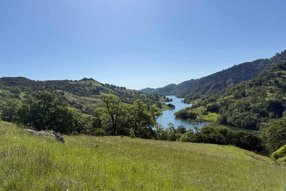 Views from the trails