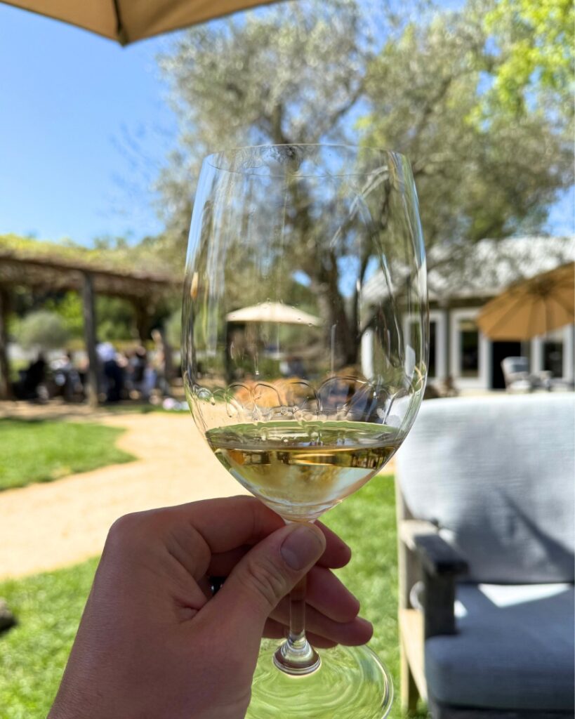 lake sonoma - wine