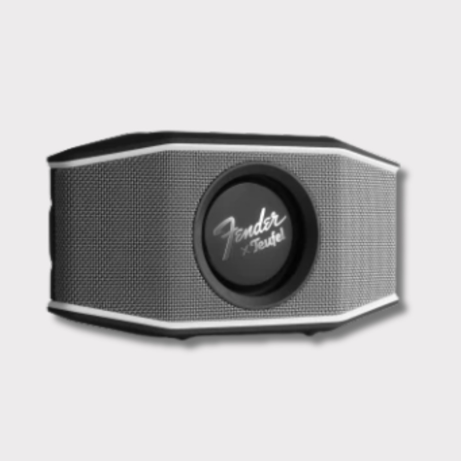 Fender x Teufel Rockster Go 2